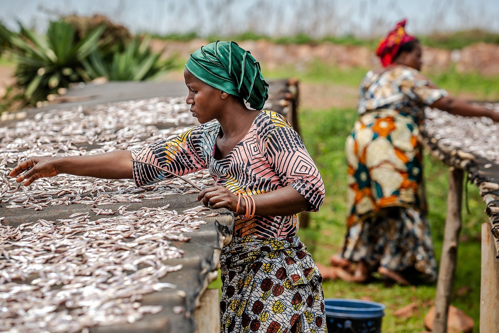 Big impacts from small-scale fisheries